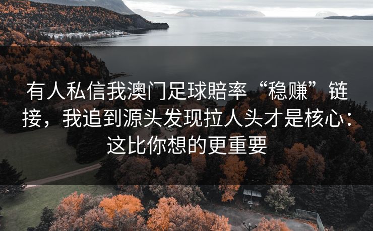 有人私信我澳门足球賠率“稳赚”链接，我追到源头发现拉人头才是核心：这比你想的更重要