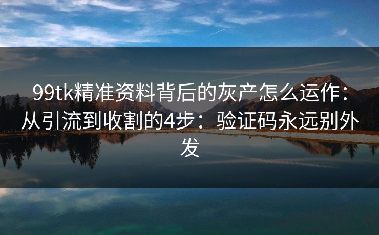 99tk精准资料背后的灰产怎么运作：从引流到收割的4步：验证码永远别外发
