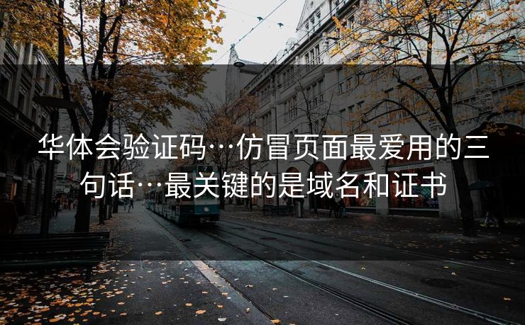 华体会验证码…仿冒页面最爱用的三句话…最关键的是域名和证书