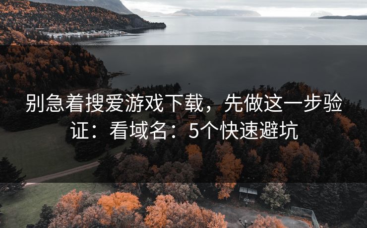 别急着搜爱游戏下载，先做这一步验证：看域名：5个快速避坑