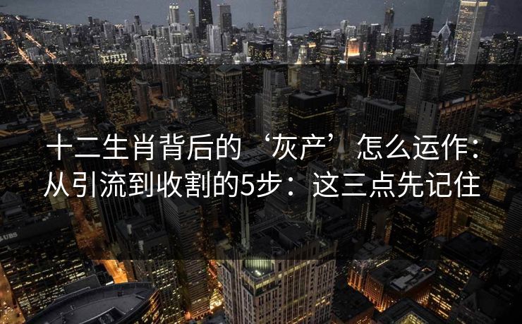 十二生肖背后的‘灰产’怎么运作：从引流到收割的5步：这三点先记住