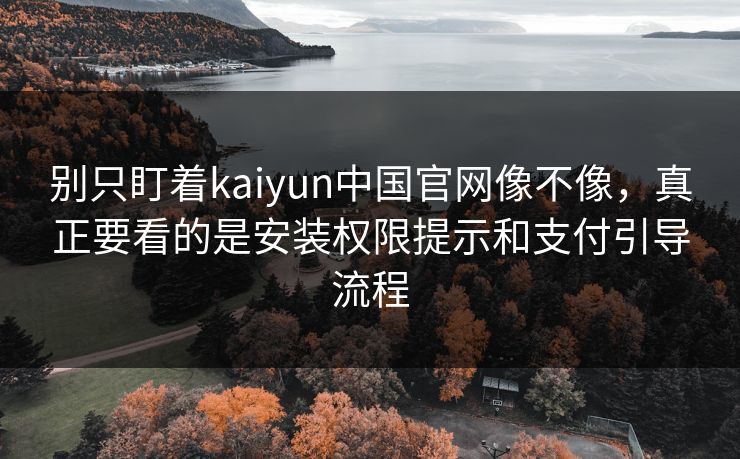 别只盯着kaiyun中国官网像不像，真正要看的是安装权限提示和支付引导流程