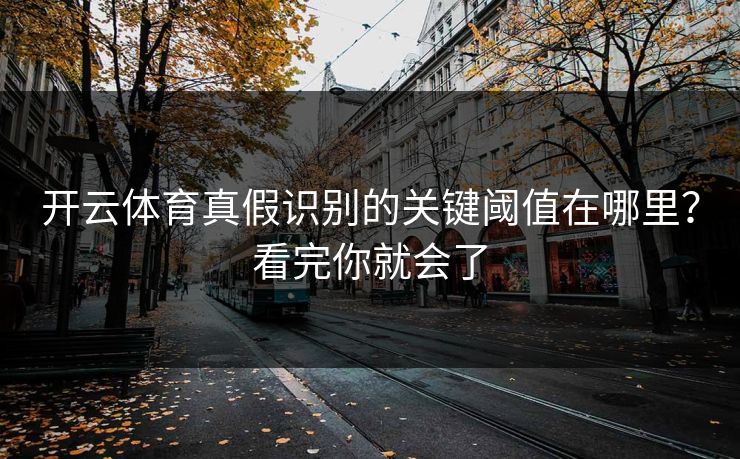 开云体育真假识别的关键阈值在哪里？看完你就会了