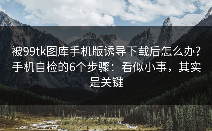 被99tk图库手机版诱导下载后怎么办？手机自检的6个步骤：看似小事，其实是关键